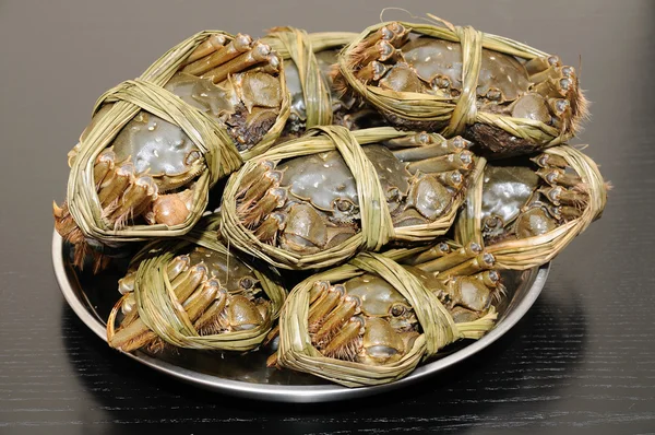 Close up of shanghai crabs — Stock Photo, Image