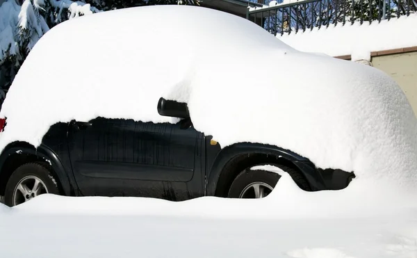 stock image Car hidden in snow