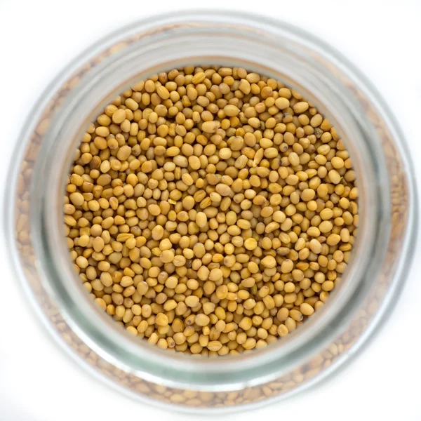 Stock image Mustard seeds