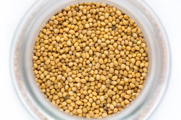 stock image Seeds of mustard in a jar