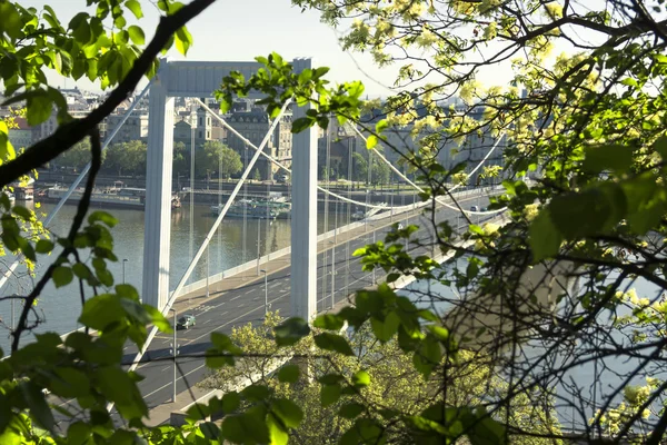 Elizabeth Bridge, Budapest — Stock Photo, Image