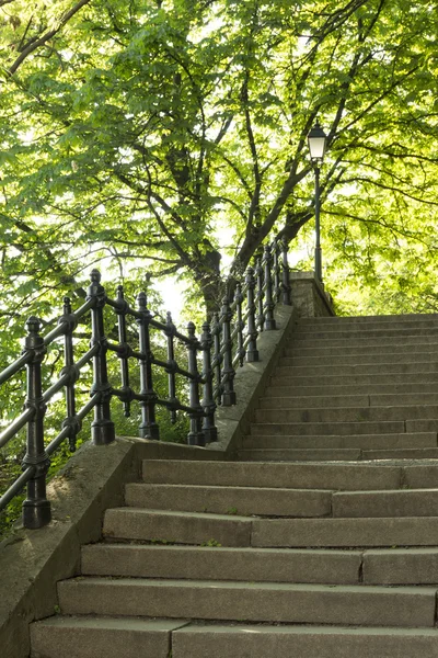 Escaliers dans le parc, le moins cher — Photo