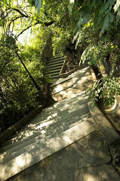 Escaliers dans le parc, le moins cher — Photo