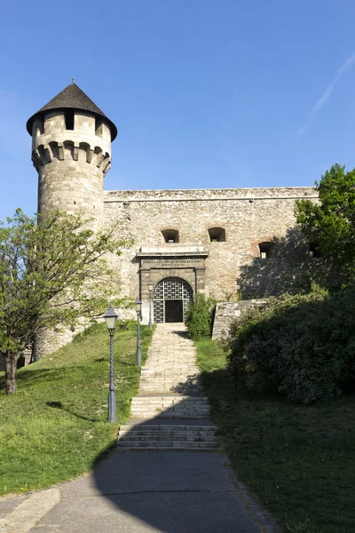 Kraliyet Sarayı, buda, Budapeşte Ortaçağ Kalesi,