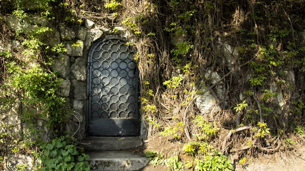 Geheimnisvolle Tür im Wald — Stockfoto