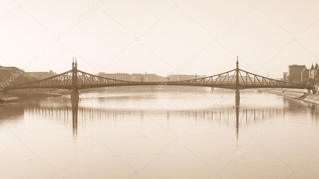 Liberty bridge, budapest