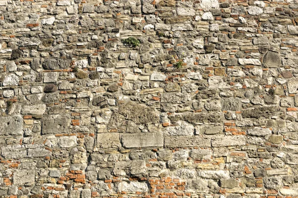 Castelo parede de pedra — Fotografia de Stock
