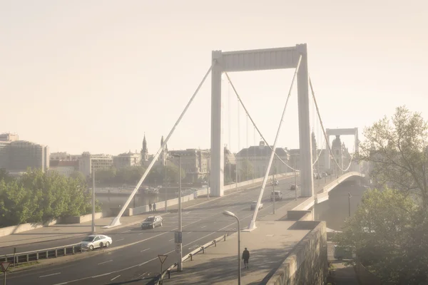 Elizabeth Bridge, Budapest — Stock Photo, Image