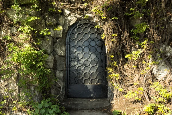 Mysteru door in the forest — Stock Photo, Image