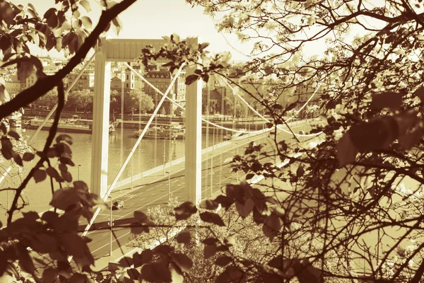 Elizabeth Bridge, Budapest in golden color — Stock Photo, Image
