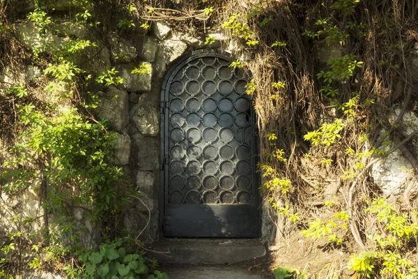 Puerta Mysteru en el bosque — Foto de Stock