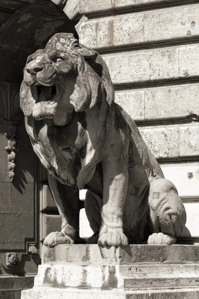 Statua del leone, budapest — Foto Stock