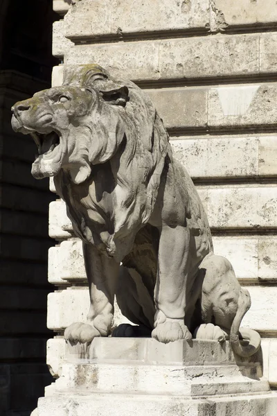 Λιοντάρι άγαλμα, Βουδαπέστη — Φωτογραφία Αρχείου