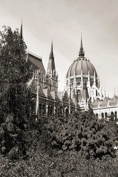 Parlamento di Budapest (monocromo ) — Foto Stock