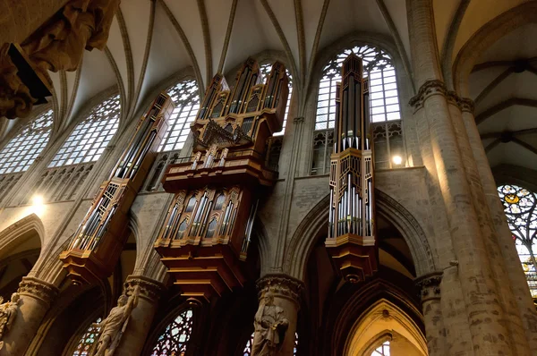 Pipe organ in Interior of St. Michael and St. Gudula Cathedral, Bruselas —  Fotos de Stock