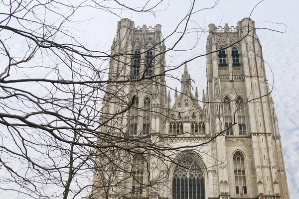 St. Michael and Gudula Cathedral. Brussels — Stock Photo, Image