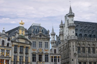 grand place, brussels, süslü binalar