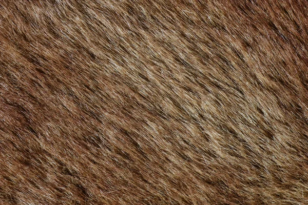 Fundo de pele marrom abstrato (textura ) — Fotografia de Stock