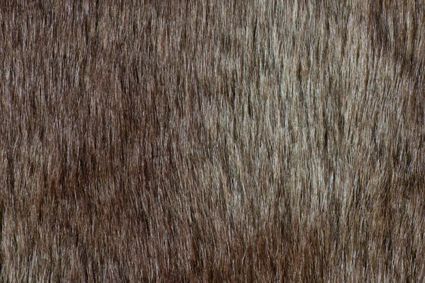 Fondo astratto pelliccia (texture ) — Foto Stock