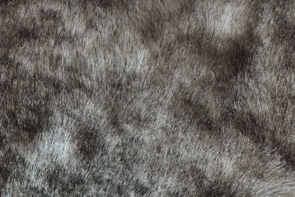 Abstract grijs nerts bont achtergrond (textuur) — Stockfoto