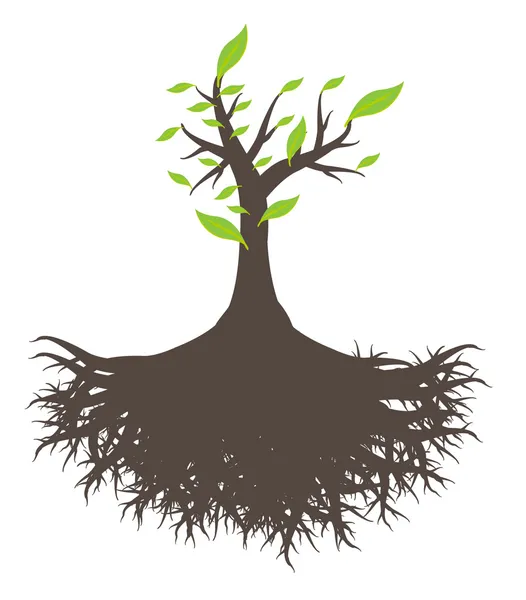 Raíz de árbol verde — Vector de stock