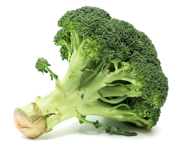 Broccoli on White Background — Stock Photo, Image