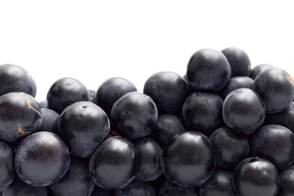 stock image Dark blue grapes close up