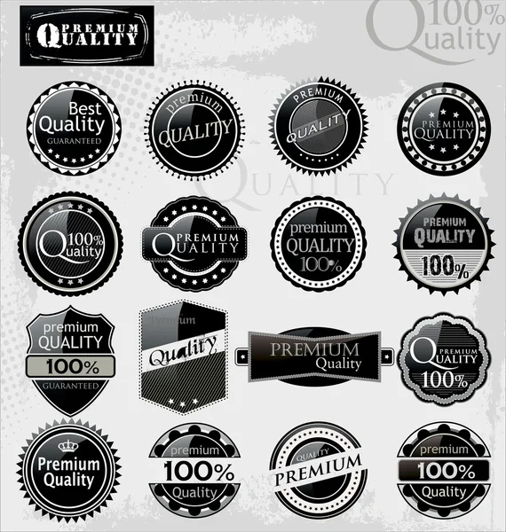 Set de elegantes etiquetas de primera calidad — Vector de stock