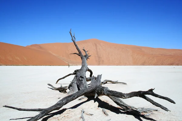 Dode vallei Namibië — Stockfoto