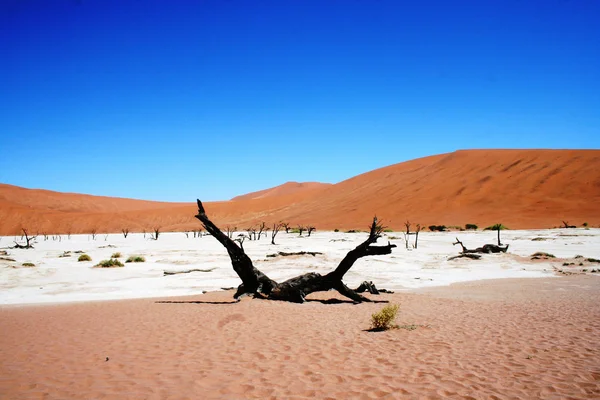 Namibië dode vley — Stockfoto