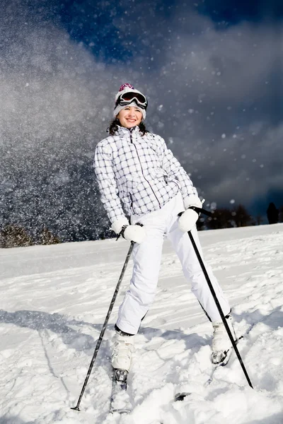 滑雪 alpin — 图库照片