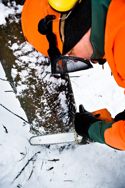 Lumberjack — Stock Photo, Image