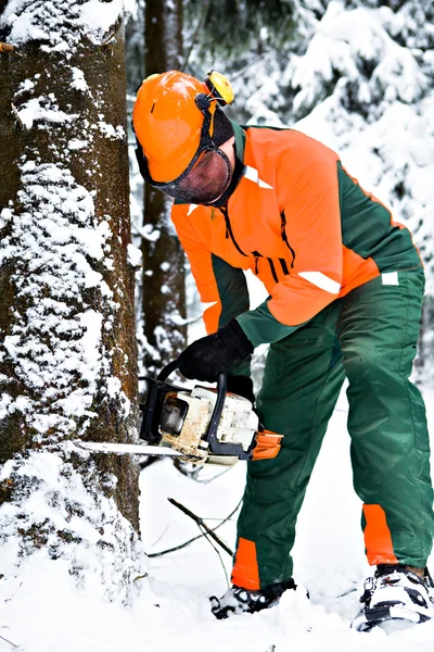 Stock image Lumberjack