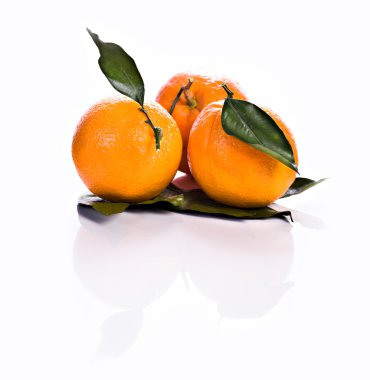 Oranges clipart