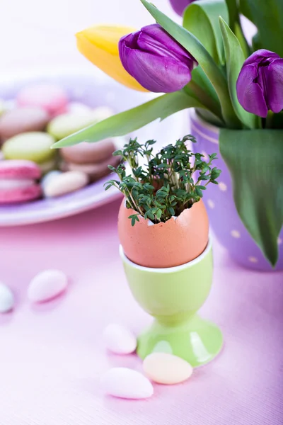 Easter installation — Stock Photo, Image