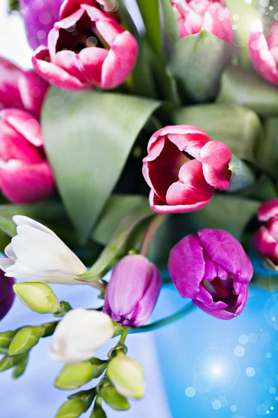 Куча тюльпанов — стоковое фото