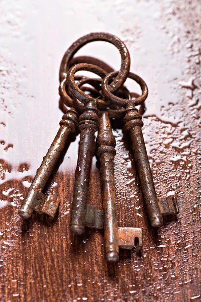 The Keys — Stock Photo, Image