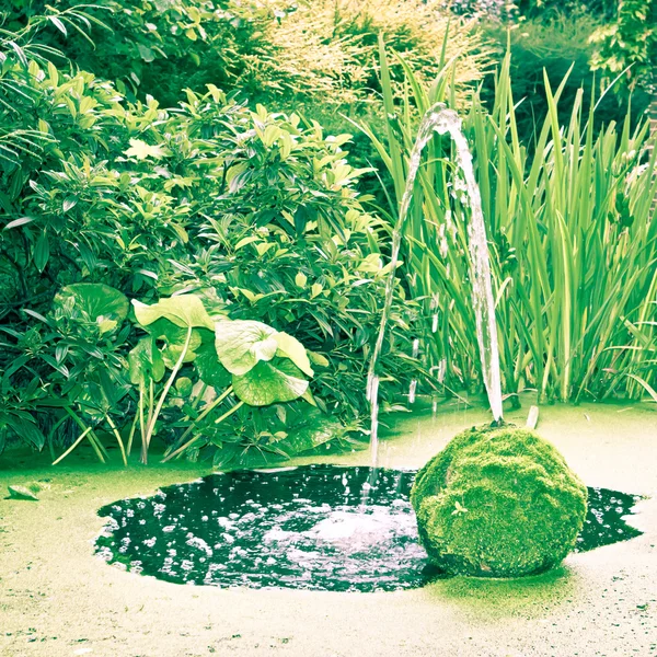 Rybník fontána — Stock fotografie