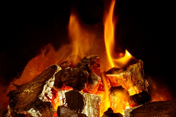 Log Fire — Stock Photo, Image