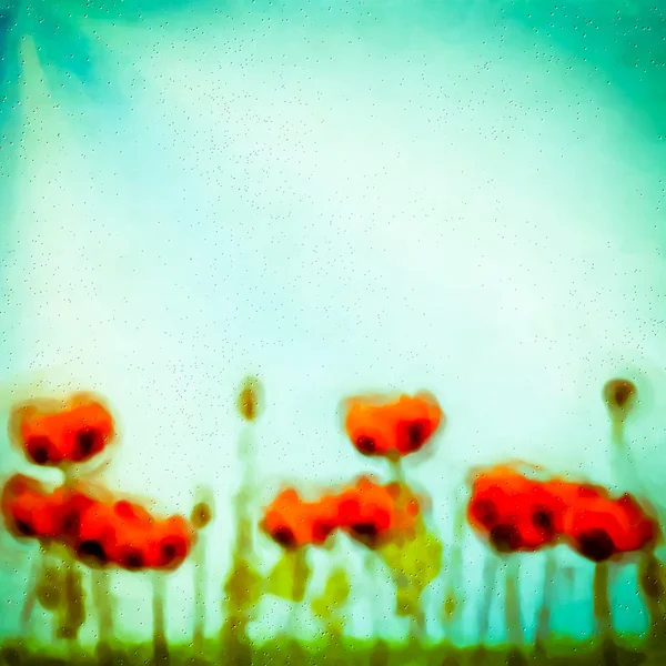 Coquelicots abstraits — Photo