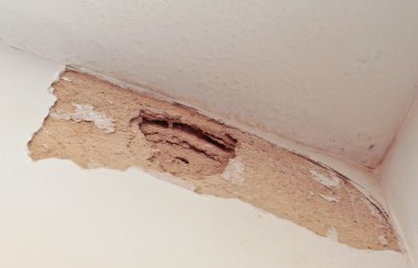 Cracked plaster clipart