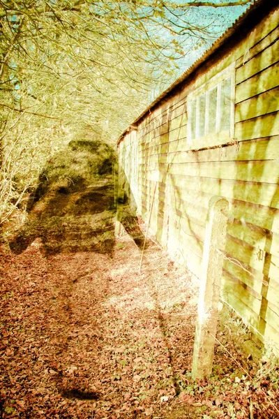 Деревянный призрак — стоковое фото