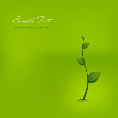 Beautiful green leaf background, vector illustration clipart