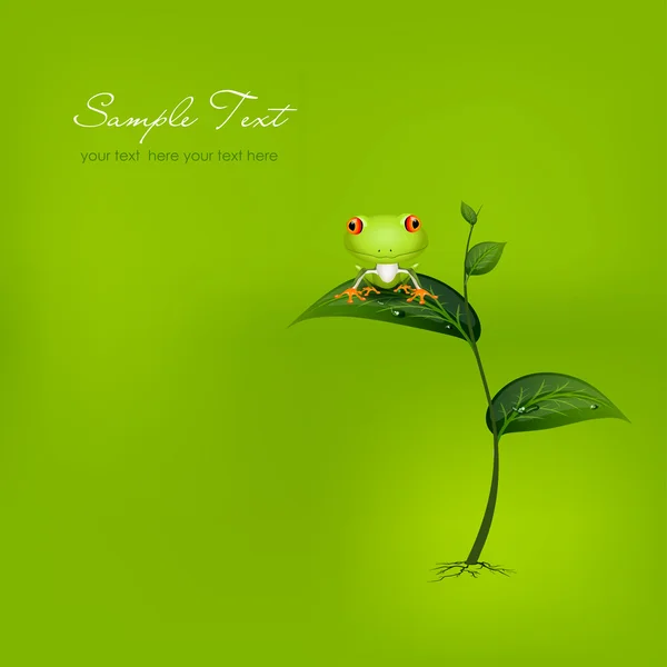 Όμορφο πράσινο φόντο με φύλλα και βάτραχος, εικονογράφηση φορέας — Διανυσματικό Αρχείο