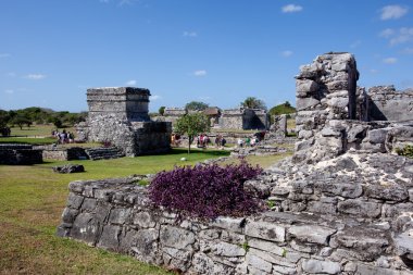 Tulum ruins clipart