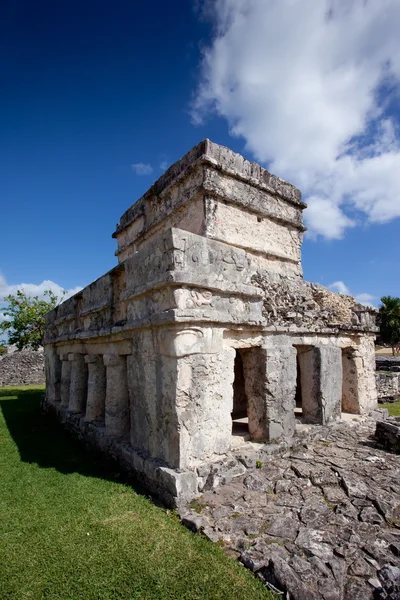 stock image Tulum ruins