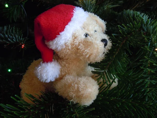 Stuffed animal toy dog and christmas tree — Stock Photo, Image