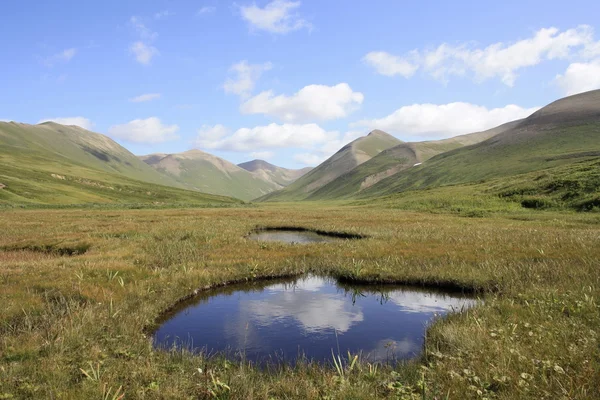 stock image Valley on the Commander Islands