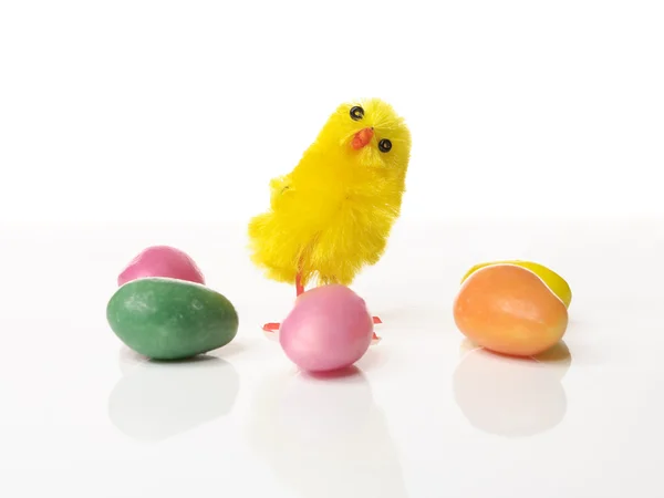 Poulet de Pâques avec bonbons colorés — Photo