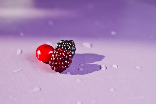 Lezzetli blackberry ve kızılcık, mor arka plan — Stok fotoğraf